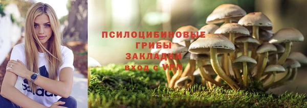 индика Алексеевка
