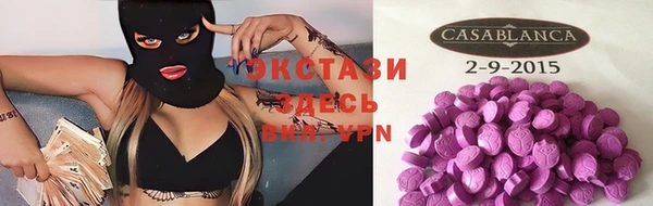 гашик Алексин