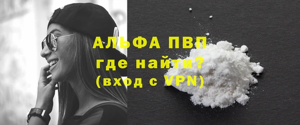 гашик Алексин