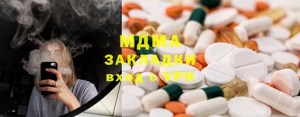 гашик Алексин