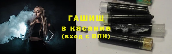 гашик Алексин