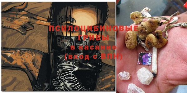 индика Алексеевка