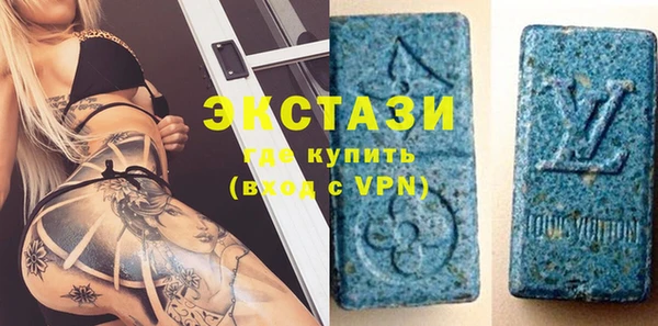 гашик Алексин