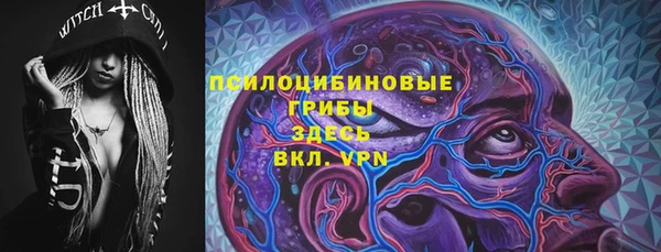 гашик Алексин