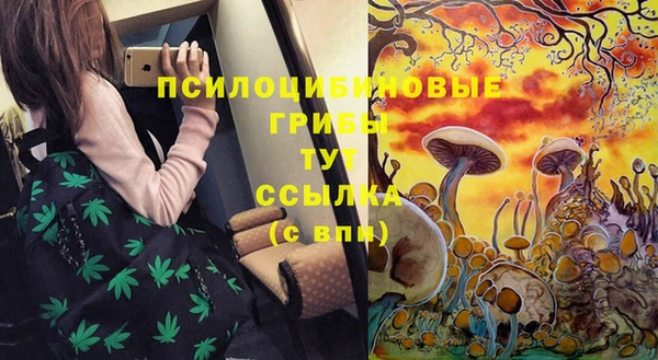 гашик Алексин