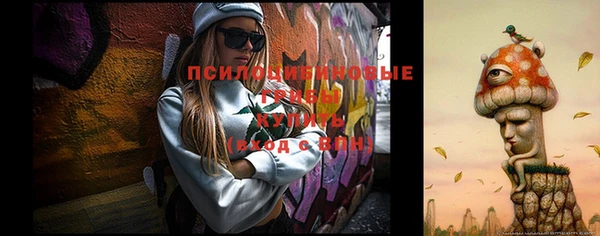 гашик Алексин