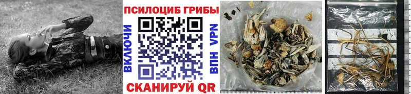 Псилоцибиновые грибы MAGIC MUSHROOMS  магазин продажи   Ижевск 